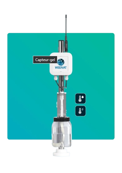 Sensor de risco de geada